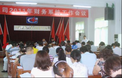 公司召開2011年財(cái)務(wù)系統(tǒng)工作會議