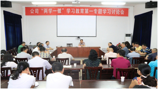公司召開“兩學(xué)一做”學(xué)習教育第一專題學(xué)習討論會