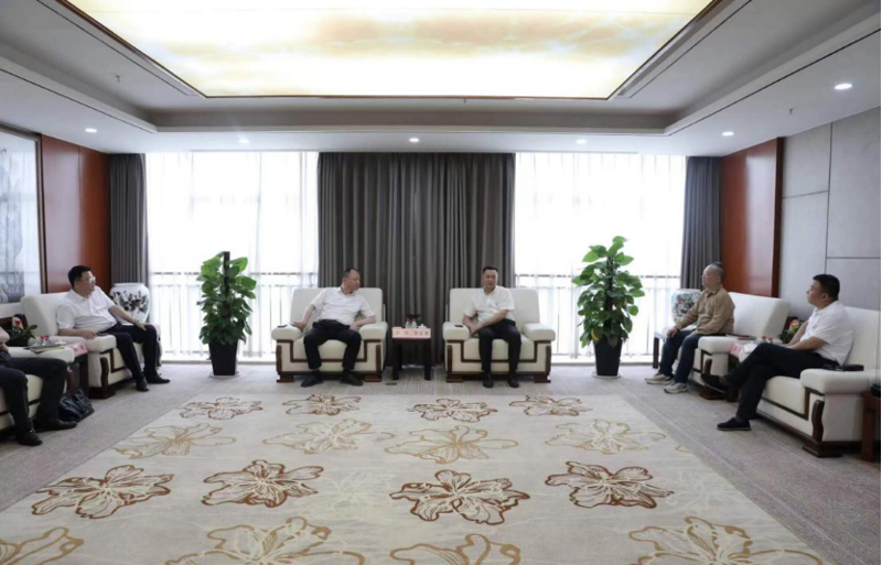 周鴻與湖南輕鹽集團(tuán)黨委副書記、副董事長、總經(jīng)理李志勇舉行會談